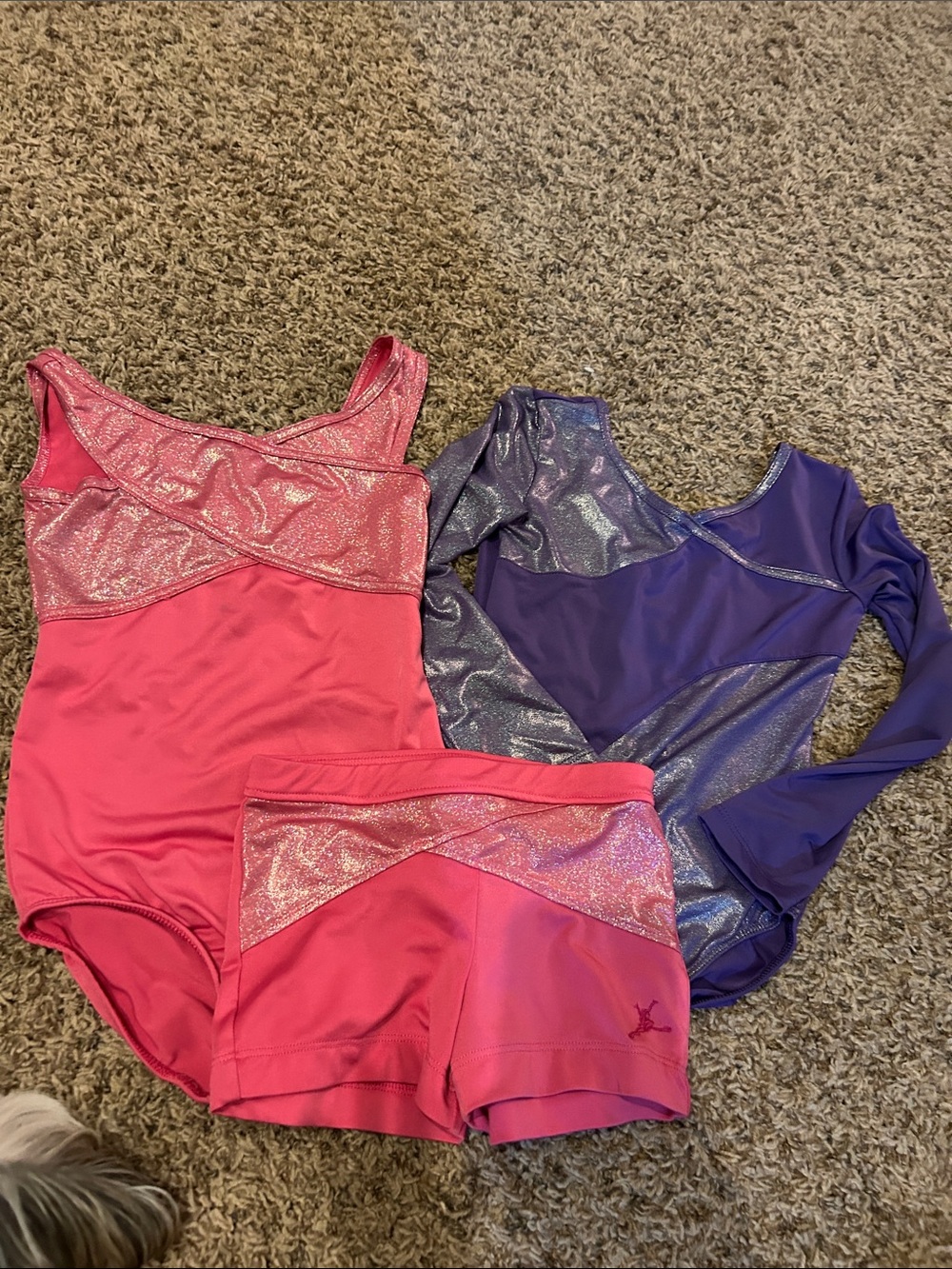 Capezio Pink and Purple Girls' Dance Leotard & Shorts Set